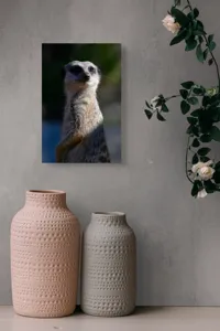 Tablou Canvas, "Suricata în lumina dimineții", 26 x 39 cm – poza 6
