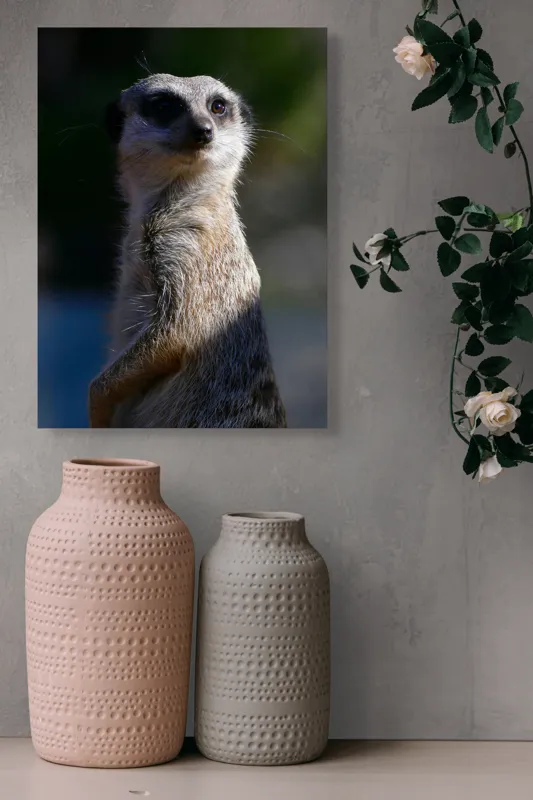Tablou Canvas, "Suricata în lumina dimineții", 39 x 54 cm – poza 6