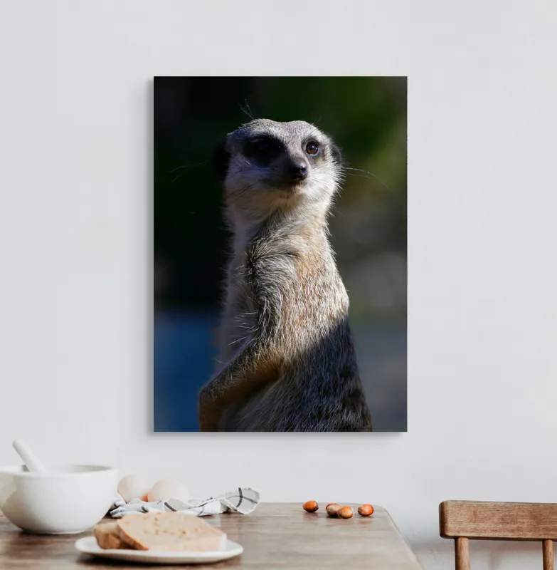 Tablou Canvas, "Suricata în lumina dimineții", 50 x 70 cm – poza 3