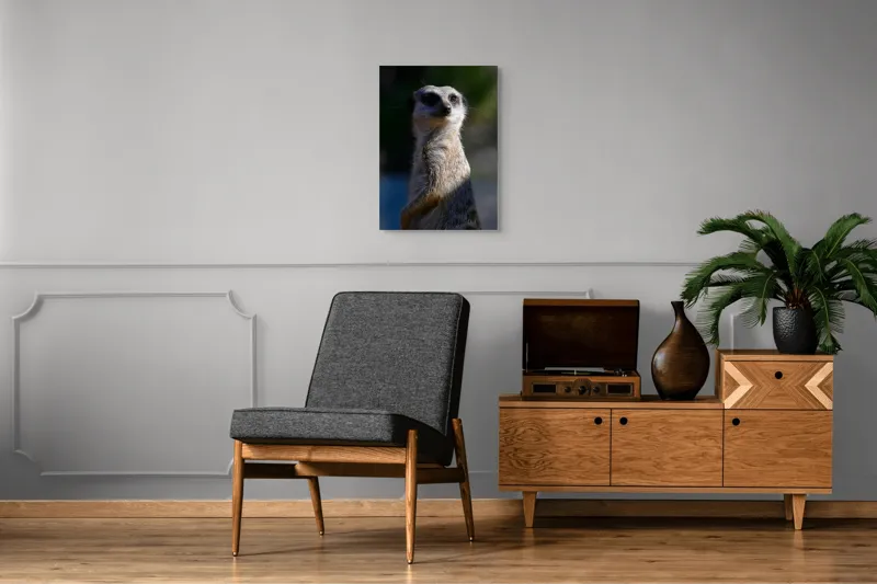 Tablou Canvas, "Suricata în lumina dimineții", 50 x 70 cm – poza 8