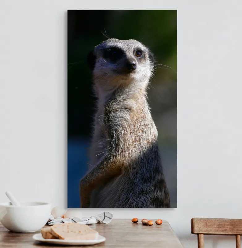 Tablou Canvas, "Suricata în lumina dimineții", 50 x 90 cm – poza 3