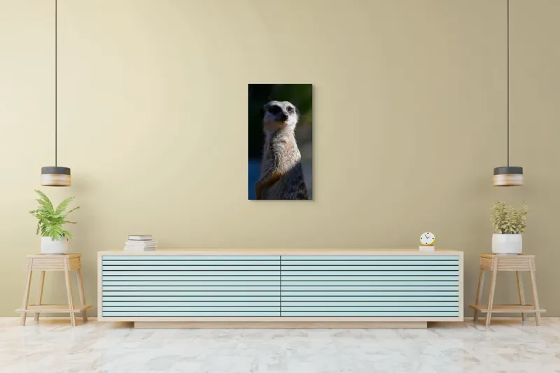 Tablou Canvas, "Suricata în lumina dimineții", 50 x 90 cm – poza 6