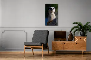 Tablou Canvas, "Suricata în lumina dimineții", 50 x 90 cm – poza 8