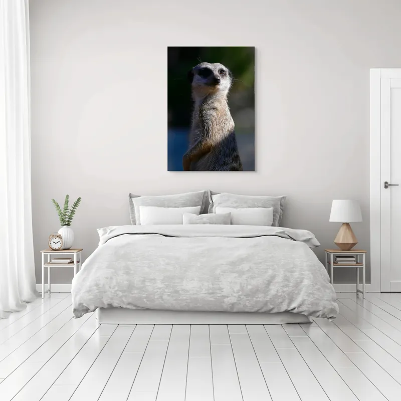 Tablou Canvas, "Suricata în lumina dimineții", 70 x 100 cm – poza 3