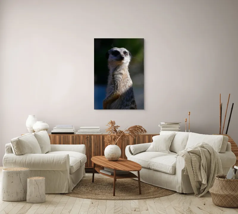 Tablou Canvas, "Suricata în lumina dimineții", 70 x 100 cm – poza 4