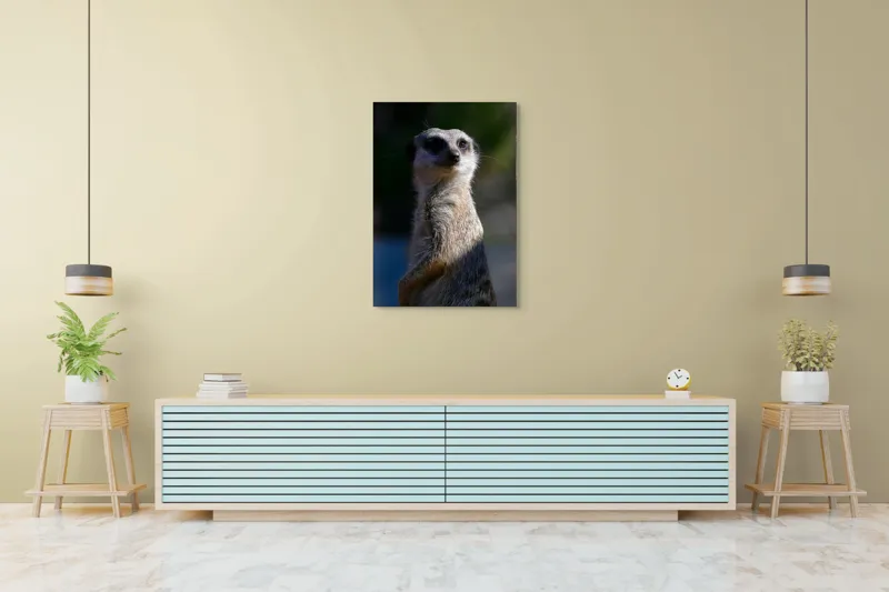 Tablou Canvas, "Suricata în lumina dimineții", 70 x 100 cm – poza 5