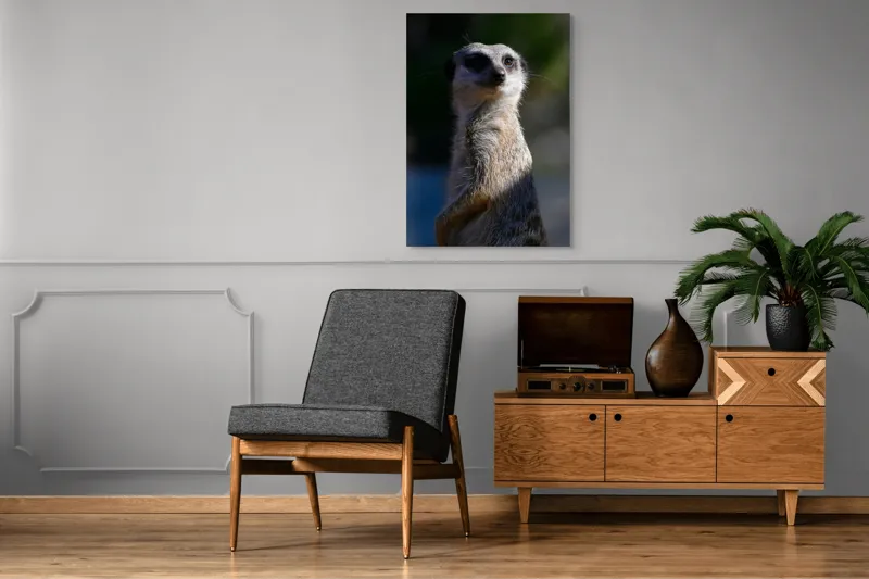 Tablou Canvas, "Suricata în lumina dimineții", 70 x 100 cm – poza 6