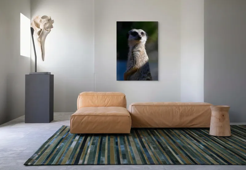 Tablou Canvas, "Suricata în lumina dimineții", 70 x 100 cm – poza 7