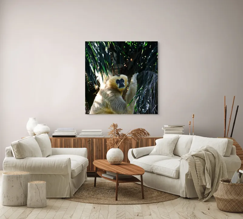 Tablou Canvas, "Maimuța gânditoare sub razele soarelui", 100 x 100 cm – poza 3