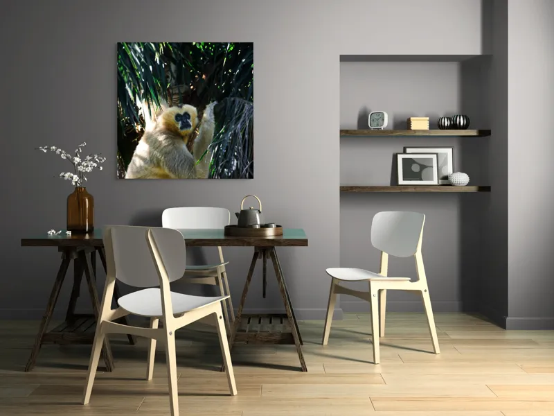 Tablou Canvas, "Maimuța gânditoare sub razele soarelui", 100 x 100 cm – poza 6