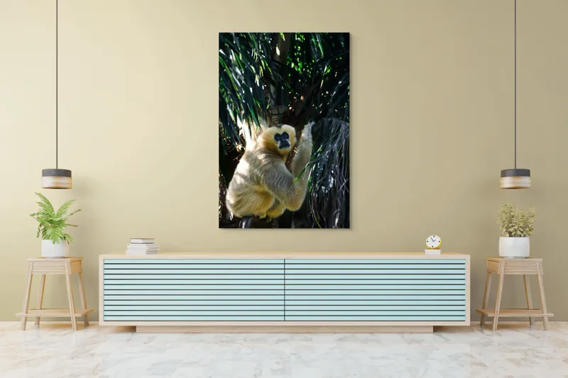 Tablou Canvas, "Maimuța gânditoare sub razele soarelui", 100 x 150 cm – poza 4