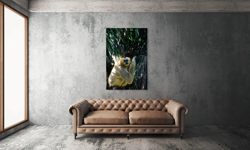 Tablou Canvas, "Maimuța gânditoare sub razele soarelui", 100 x 150 cm – poza 6