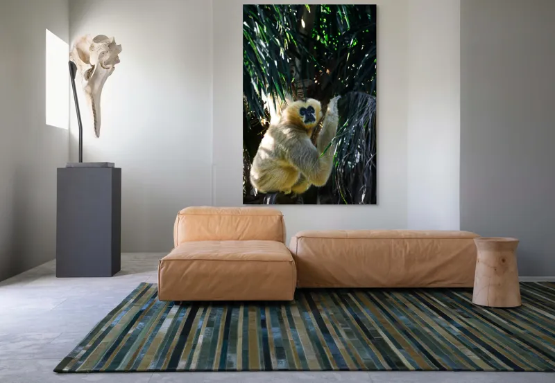 Tablou Canvas, "Maimuța gânditoare sub razele soarelui", 100 x 150 cm – poza 7