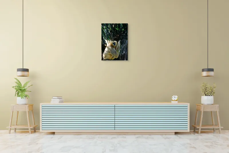 Tablou Canvas, "Maimuța gânditoare sub razele soarelui", 50 x 70 cm – poza 6