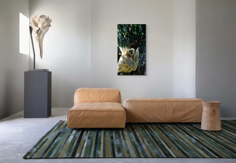 Tablou Canvas, "Maimuța gânditoare sub razele soarelui", 50 x 90 cm – poza 5