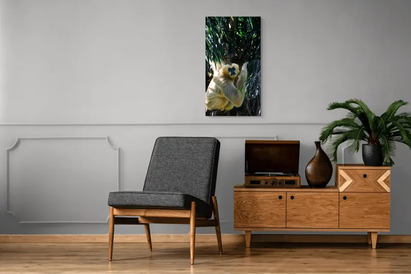 Tablou Canvas, "Maimuța gânditoare sub razele soarelui", 50 x 90 cm – poza 8