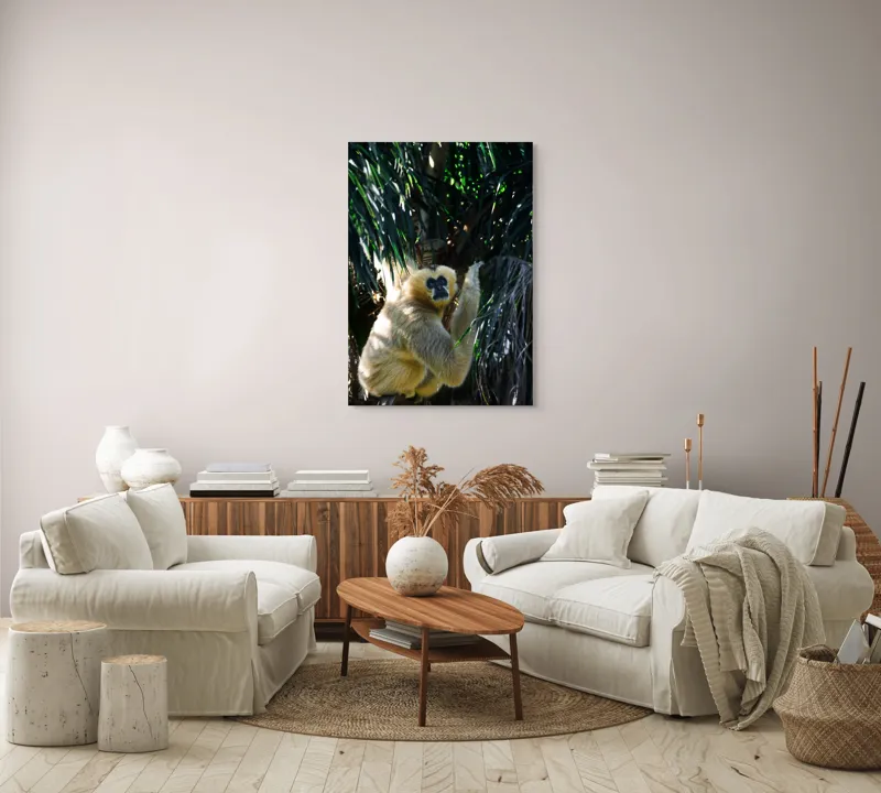 Tablou Canvas, "Maimuța gânditoare sub razele soarelui", 70 x 100 cm – poza 4