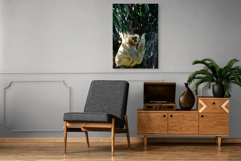 Tablou Canvas, "Maimuța gânditoare sub razele soarelui", 70 x 100 cm – poza 6