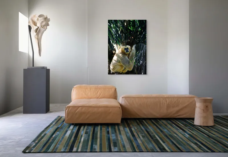 Tablou Canvas, "Maimuța gânditoare sub razele soarelui", 70 x 100 cm – poza 7