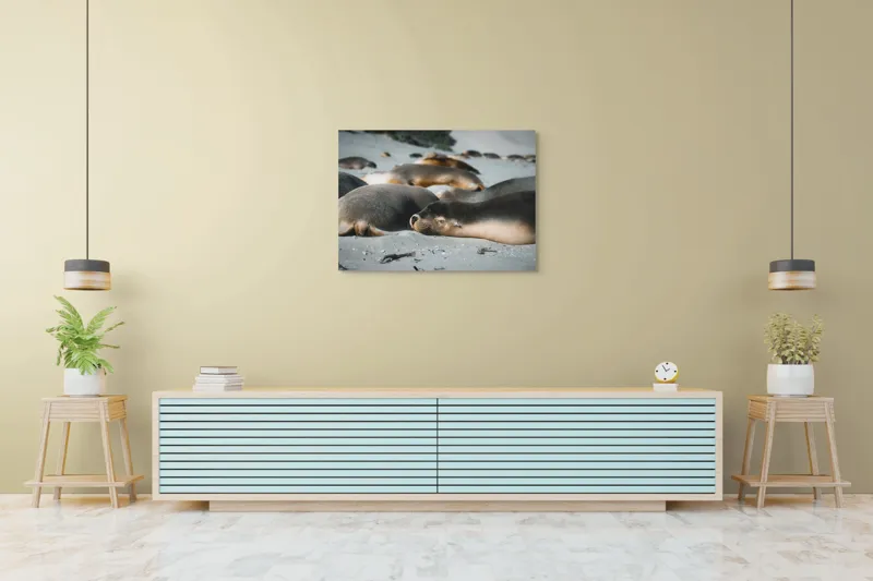 Tablou Canvas, "Leii de mare odihnindu-se pe plajă", Plajă, Lei, Somn, Nisip, Soare, Relaxare, Natură, Serenitate, Odihnă, Grup, 100 x 70 cm – poza 4