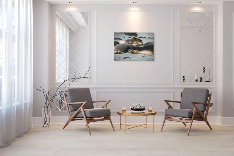 Tablou Canvas, "Leii de mare odihnindu-se pe plajă", Plajă, Lei, Somn, Nisip, Soare, Relaxare, Natură, Serenitate, Odihnă, Grup, 100 x 70 cm – poza 5