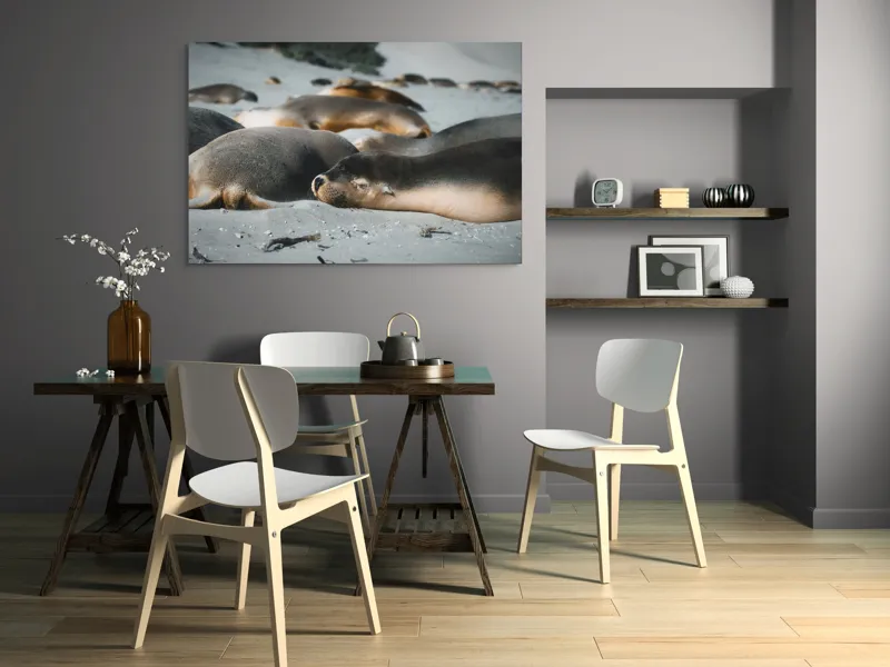 Tablou Canvas, "Leii de mare odihnindu-se pe plajă", Plajă, Lei, Somn, Nisip, Soare, Relaxare, Natură, Serenitate, Odihnă, Grup, 150 x 100 cm – poza 5