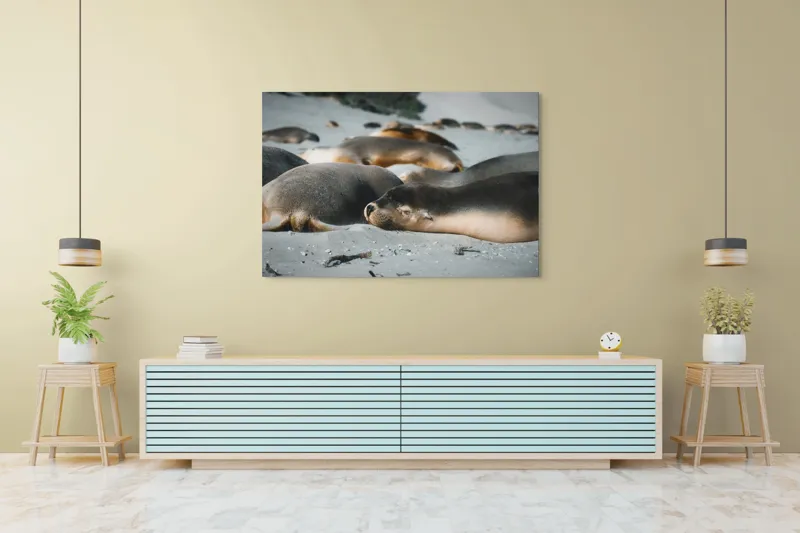 Tablou Canvas, "Leii de mare odihnindu-se pe plajă", Plajă, Lei, Somn, Nisip, Soare, Relaxare, Natură, Serenitate, Odihnă, Grup, 150 x 100 cm – poza 6