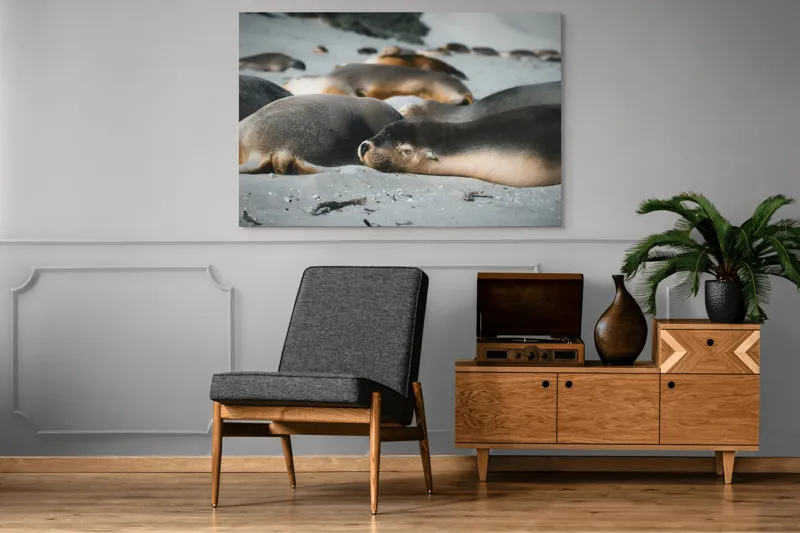 Tablou Canvas, "Leii de mare odihnindu-se pe plajă", Plajă, Lei, Somn, Nisip, Soare, Relaxare, Natură, Serenitate, Odihnă, Grup, 150 x 100 cm – poza 8