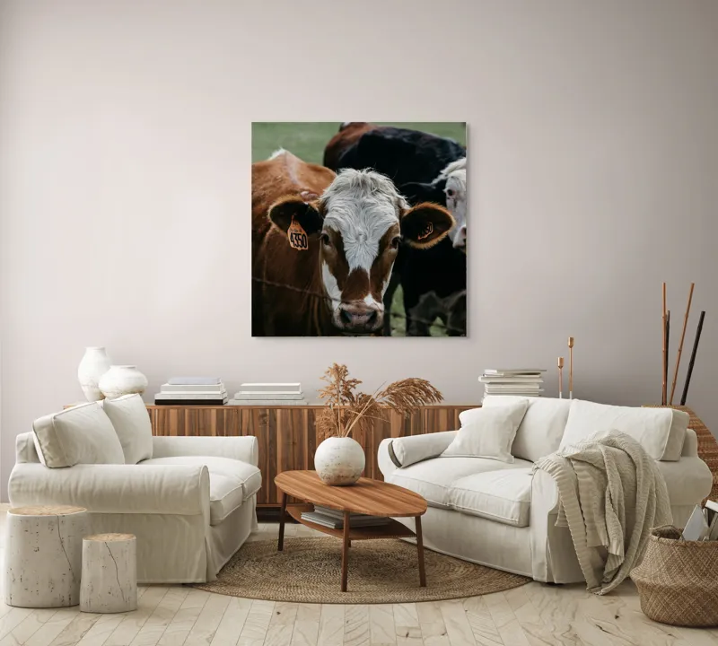 Tablou Canvas, "Curiozitatea unei vaci maro", 100 x 100 cm – poza 3