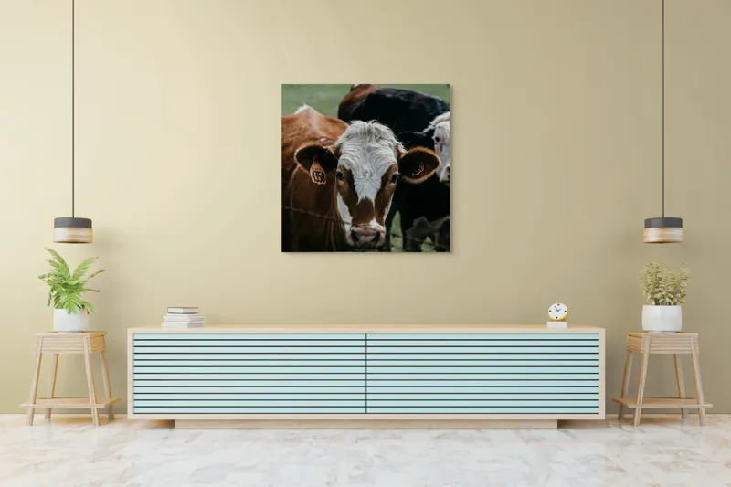 Tablou Canvas, "Curiozitatea unei vaci maro", 100 x 100 cm – poza 5