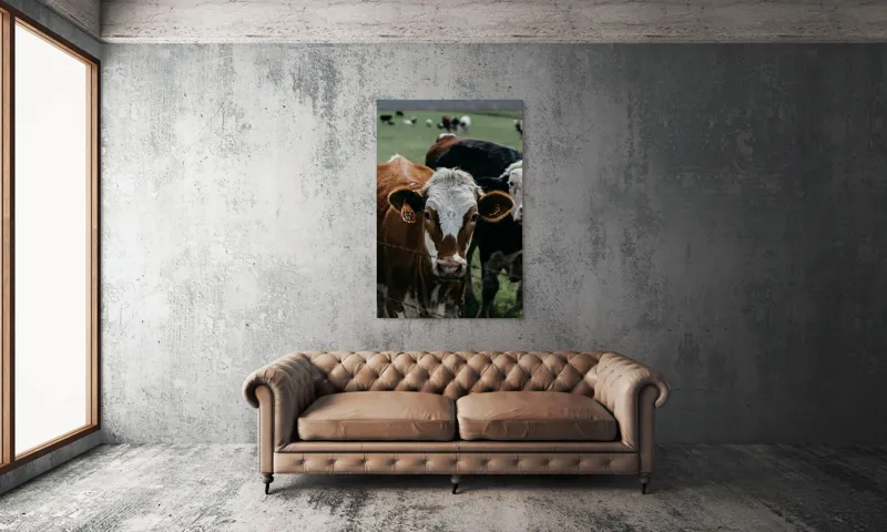 Tablou Canvas, "Curiozitatea unei vaci maro", 100 x 150 cm – poza 6