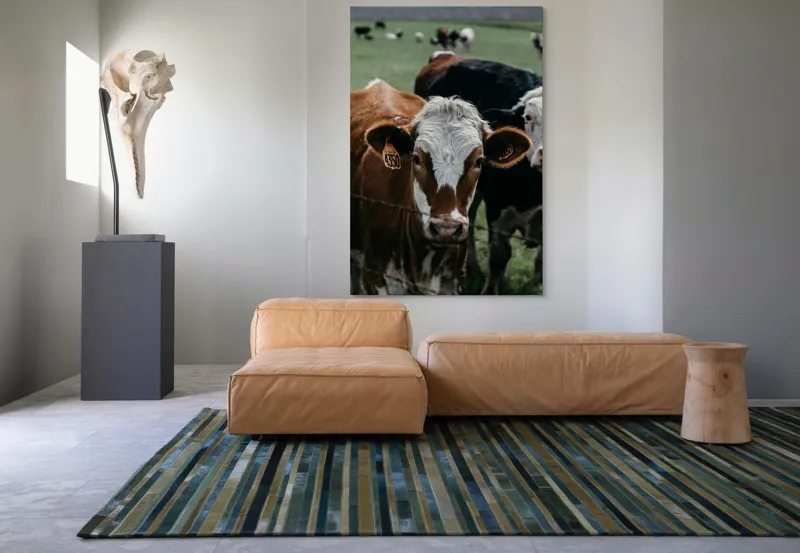 Tablou Canvas, "Curiozitatea unei vaci maro", 100 x 150 cm – poza 7