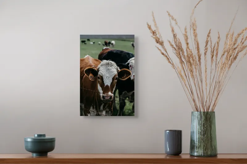 Tablou Canvas, "Curiozitatea unei vaci maro", 26 x 39 cm – poza 5