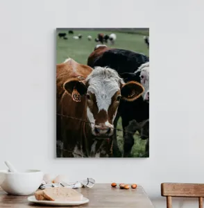 Tablou Canvas, "Curiozitatea unei vaci maro", 50 x 70 cm – poza 3
