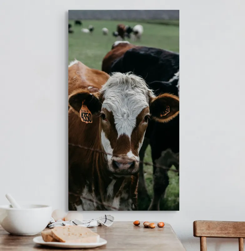 Tablou Canvas, "Curiozitatea unei vaci maro", 50 x 90 cm – poza 3