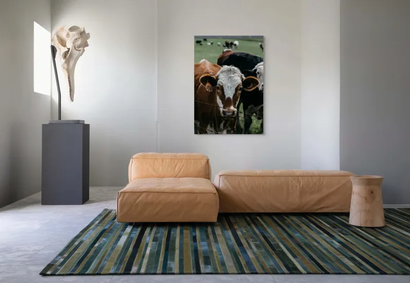 Tablou Canvas, "Curiozitatea unei vaci maro", 70 x 100 cm – poza 7