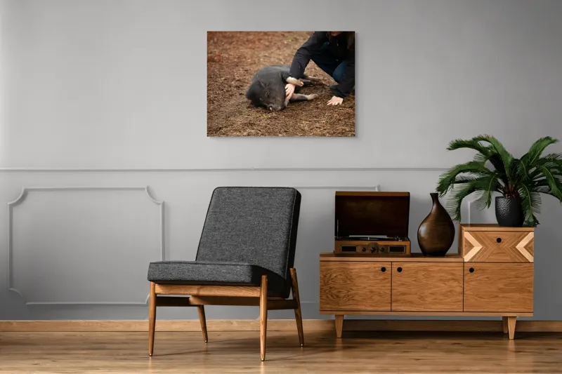 Tablou Canvas, Loialitate, Bucurie, Relaxare, Prietenie, Compatibilitate, Apreciere, Interacțiune, Natură, 100 x 70 cm – poza 8