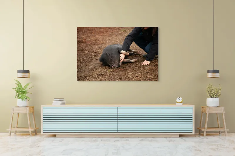 Tablou Canvas, Loialitate, Bucurie, Relaxare, Prietenie, Compatibilitate, Apreciere, Interacțiune, Natură, 150 x 100 cm – poza 6