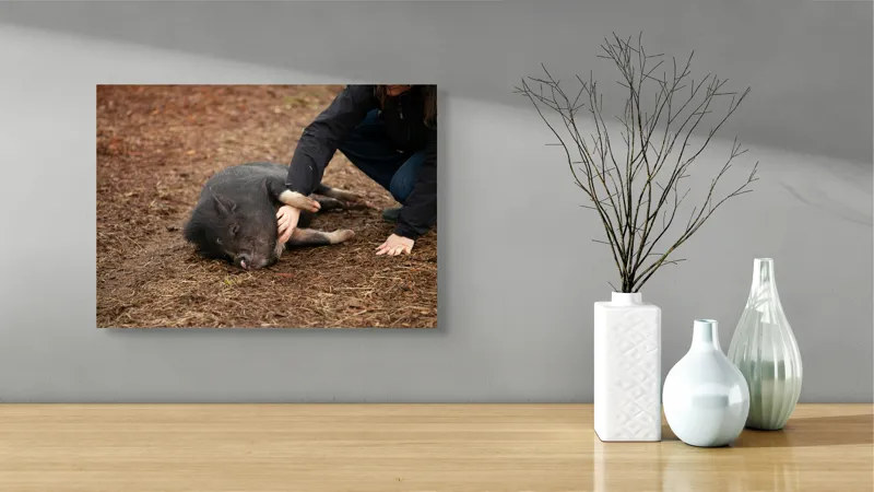 Tablou Canvas, Loialitate, Bucurie, Relaxare, Prietenie, Compatibilitate, Apreciere, Interacțiune, Natură, 54 x 39 cm – poza 3