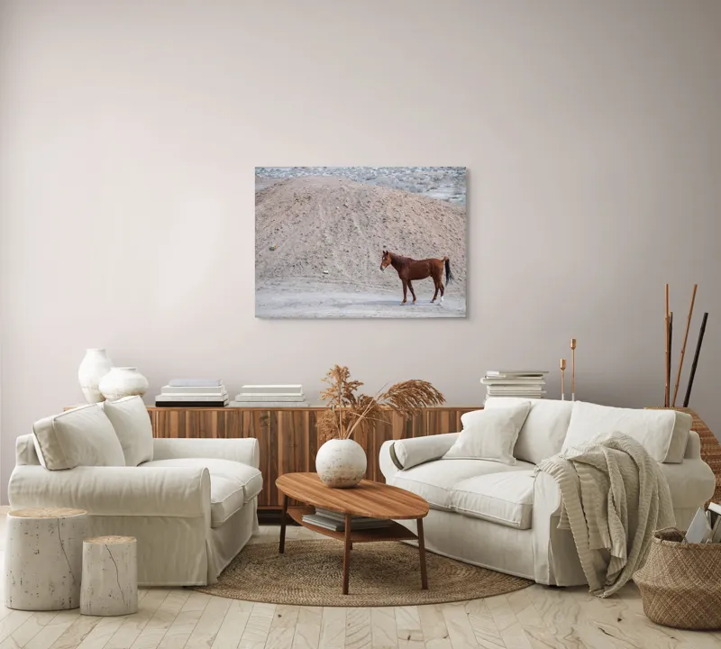 Tablou Canvas, "Cal singur în peisaj arid", Cal, Deal, Pustiu, Singurătate, Natură, Pământ, Peisaj, Sălbăticie., 100 x 70 cm – poza 3