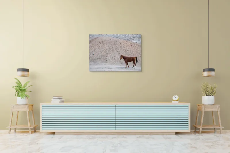 Tablou Canvas, "Cal singur în peisaj arid", Cal, Deal, Pustiu, Singurătate, Natură, Pământ, Peisaj, Sălbăticie., 100 x 70 cm – poza 4
