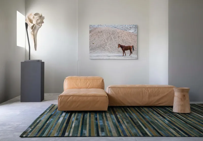 Tablou Canvas, "Cal singur în peisaj arid", Cal, Deal, Pustiu, Singurătate, Natură, Pământ, Peisaj, Sălbăticie., 100 x 70 cm – poza 7