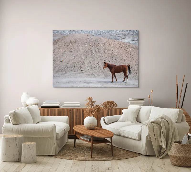 Tablou Canvas, "Cal singur în peisaj arid", Cal, Deal, Pustiu, Singurătate, Natură, Pământ, Peisaj, Sălbăticie., 150 x 100 cm – poza 3