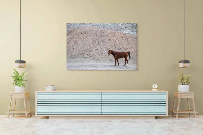 Tablou Canvas, "Cal singur în peisaj arid", Cal, Deal, Pustiu, Singurătate, Natură, Pământ, Peisaj, Sălbăticie., 150 x 100 cm – poza 6