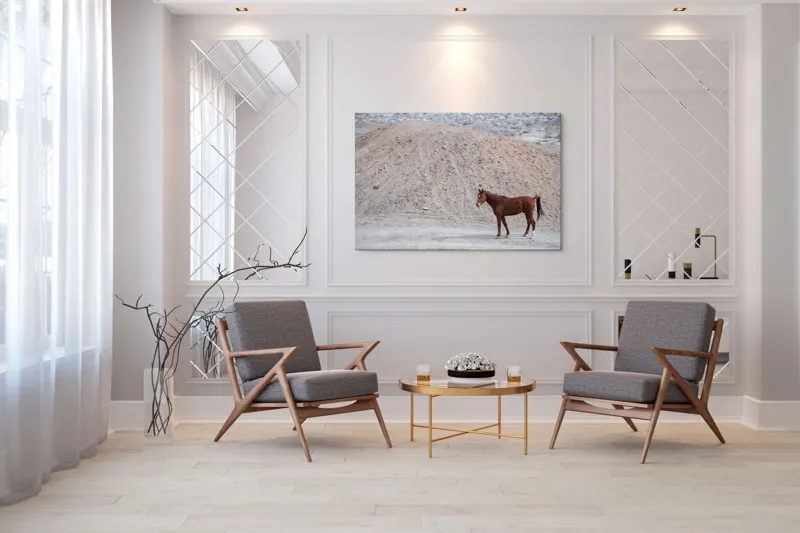 Tablou Canvas, "Cal singur în peisaj arid", Cal, Deal, Pustiu, Singurătate, Natură, Pământ, Peisaj, Sălbăticie., 150 x 100 cm – poza 7