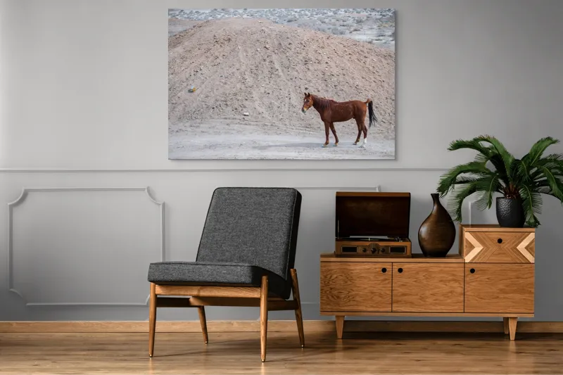 Tablou Canvas, "Cal singur în peisaj arid", Cal, Deal, Pustiu, Singurătate, Natură, Pământ, Peisaj, Sălbăticie., 150 x 100 cm – poza 8