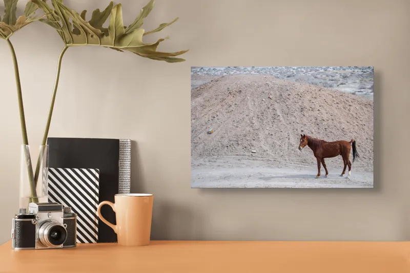 Tablou Canvas, "Cal singur în peisaj arid", Cal, Deal, Pustiu, Singurătate, Natură, Pământ, Peisaj, Sălbăticie., 39 x 26 cm – poza 3