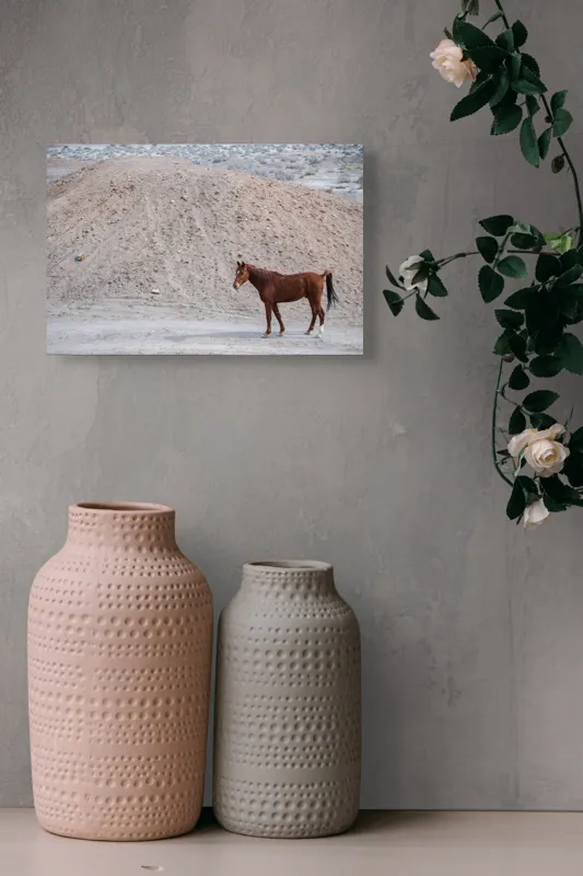 Tablou Canvas, "Cal singur în peisaj arid", Cal, Deal, Pustiu, Singurătate, Natură, Pământ, Peisaj, Sălbăticie., 39 x 26 cm – poza 4