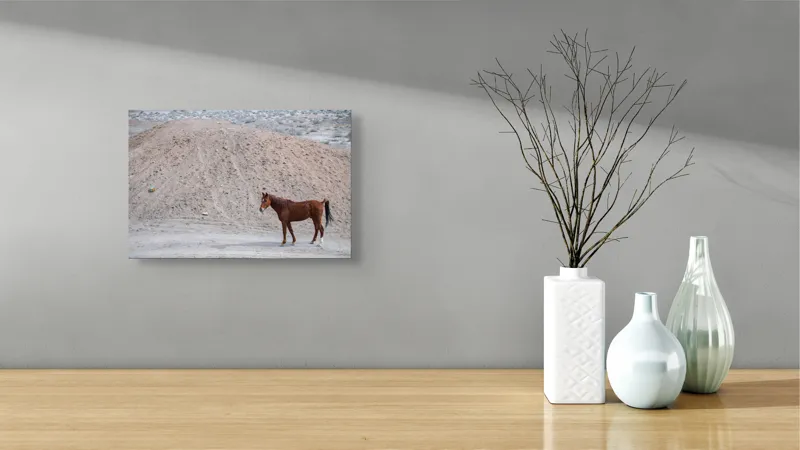 Tablou Canvas, "Cal singur în peisaj arid", Cal, Deal, Pustiu, Singurătate, Natură, Pământ, Peisaj, Sălbăticie., 39 x 26 cm – poza 8