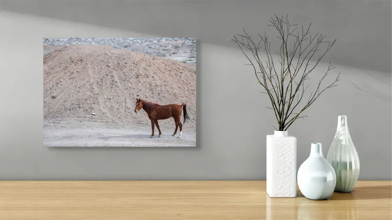 Tablou Canvas, "Cal singur în peisaj arid", Cal, Deal, Pustiu, Singurătate, Natură, Pământ, Peisaj, Sălbăticie., 54 x 39 cm – poza 3